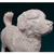 Miniatura Boiadeiro de Berna (Bovaro Del Bernese, Boiadeiro-Bernês) Pintura Personalizada ou Cor única Estátua 3D