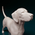 Miniatura Dálmata - Pintura Personalizada ou Cor única - Estátua de Cachorro Impressão 3D