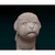 Miniatura Bichon Frise - Pintura Personalizada ou Cor única - Estátua de Cachorro Impressão 3D