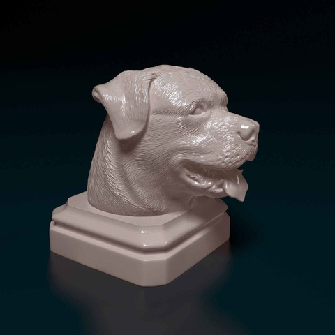 Busto Rottweiler - Estátua de Cachorro Decorativo Impressão 3D