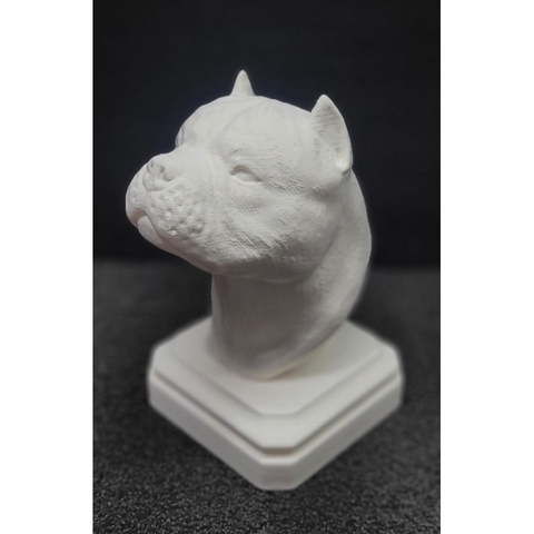 Busto American Bully - Estátua de Cachorro Decorativo Impressão 3D