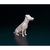 Miniatura Jack Russell - Pintura Personalizada ou Cor única - Estátua de Cachorro Impressão 3D