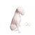 Imagem do Miniatura Boxer Low Poly - Estátua de Cachorro Decorativo Impressão 3D