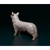 Imagem do Miniatura Welsh Corgi Pembroke (Corgi) - Pintura Personalizada ou Cor única - Estátua de Cachorro Impressão 3D