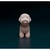 Imagem do Miniatura Bichon Frise - Pintura Personalizada ou Cor única - Estátua de Cachorro Impressão 3D