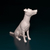 Miniatura Fox Paulistinha - Pintura Personalizada ou Cor única - Estátua de Cachorro Impressão 3D
