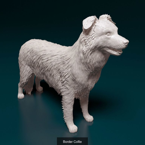 Miniatura Border Collie - Pintura Personalizada ou Cor única - Estátua de Cachorro Impressão 3D