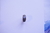 Anillo de piedra lunar - tienda en línea