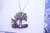 Collar grifo ante el árbol de la vida - comprar en línea