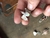 Imagen de Anillo “Don del águila”