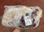 (1KG) VACIO "SWIFT" en internet