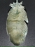Hoja - tienda online