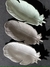 Hoja