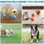 Imagem do Bola Futurística Para Cães – A Revolução dos Brinquedos Pet
