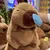 Pelúcia Macio Capivara com Mochila de Tartaruga