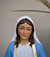 Imagem do Nossa Senhora das Graças 20, 30 e 40cm Resina