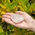 Cristal (195g - 8cm) - comprar online