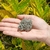 Pirita (125g - 6cm) - comprar online