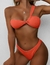 Bikini Fox
