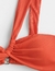 Bikini Fox en internet