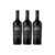 COMBO CABERNET MENDOZA - comprar online