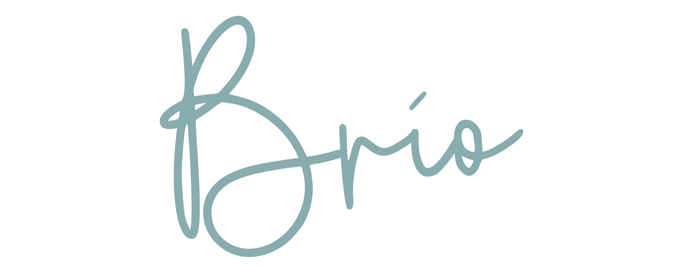 Brio Posadas