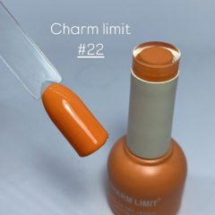 CHARM LIMIT #22