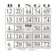 Cartela para bingo c/ 12 talões na internet