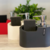 Dispenser Kitchen