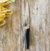 Cuchillo de verduras 5" Bra efficient