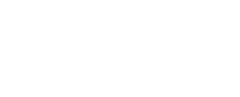 Toy Order
