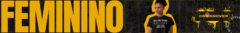 Banner da categoria Feminino