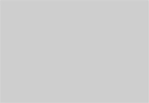 Gris Claro - comprar online