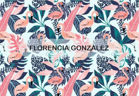 Flamencos - comprar online