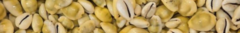 Banner da categoria Geral