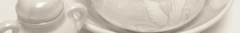 Banner da categoria Assentamentos