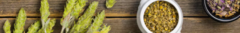 Banner da categoria Banhos de Ervas
