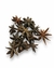 ANIS ESTRELADO ( PCT 500GR ) - comprar online