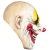 Máscara De Freaky Clown - Ghoulish Productions