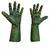 Manos De Evil Witch Green en internet
