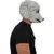Imagen de French Poodle