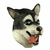 Imagen de Máscara De Husky