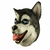 Máscara De Husky en internet