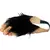 Pies De Chimp