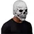 White Skull 2 en internet