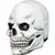 White Skull 2 - comprar en línea