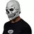 White Skull 2