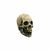 Skull Human en internet