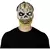 Máscara Crazy Skull en internet