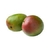 MANGO TOMMY KILO